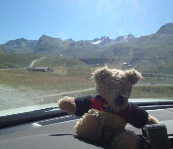 Teddybär vor Bergkulisse
